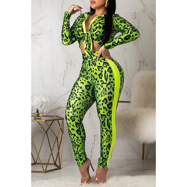 Lovely Casual Turndown Collar Printed Green Two-piece Pants Set